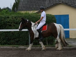 img_5842_web